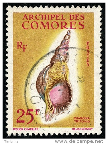 COMORES 1962 - Yv. 24 Obl.   Cote= 16,00 EUR - Coquillage Charonia Tritonis ..Réf.AFA21871 - Used Stamps