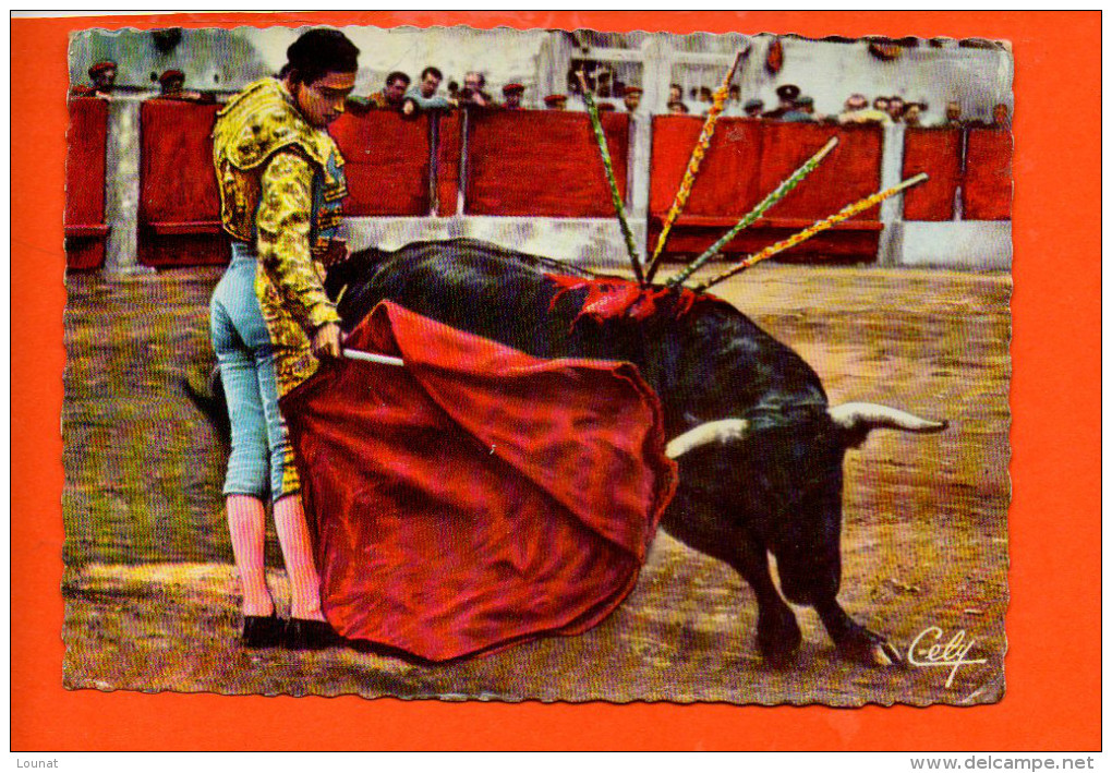 Corrida - DERECHAZO - Torero : Jumillano - Corrida