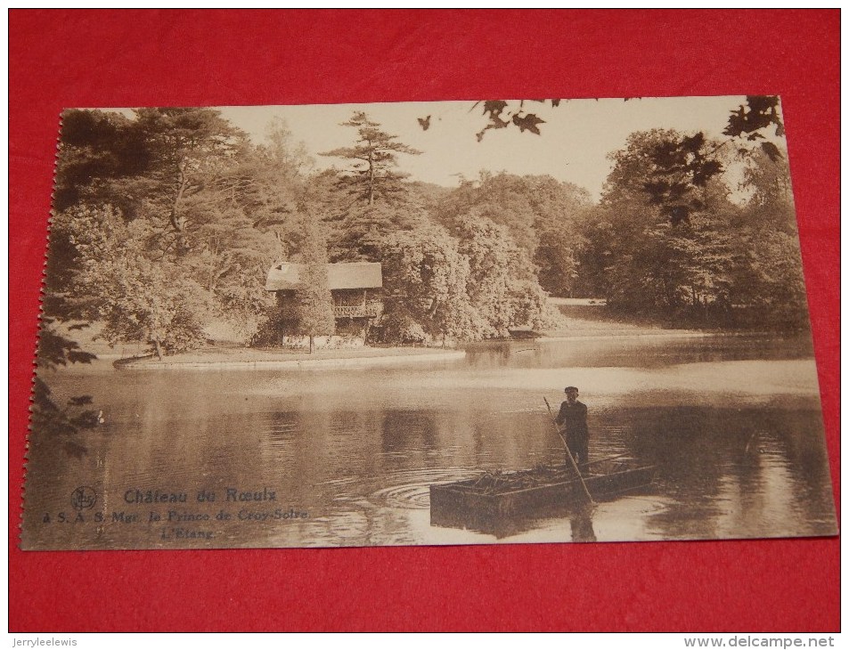 ROEULX -  Château Du Roeulx  - L' Etang - Soignies