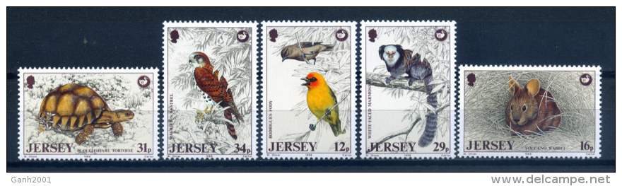 Jersey 1988 / Birds Turtle Rabbit MNH Aves Tortugas Conejos Vögel Oiseaux / Ix00  30-13 - Otros & Sin Clasificación