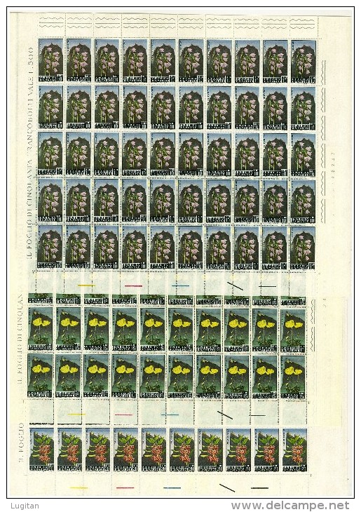 SAN MARINO -  SPECIALE FOGLI INTERI - ANNO 1967 SERIE FIORI   7 VALORI - FOGLI DA 50  - NUOVI ** MNH - Unused Stamps