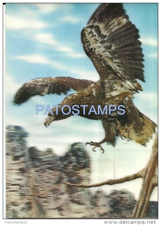 722 ART ARTE THREE DIMENSIONAL 3D 3 D HALCON HAWK IN FLIGHT NO POSTAL POSTCARD - Sin Clasificación