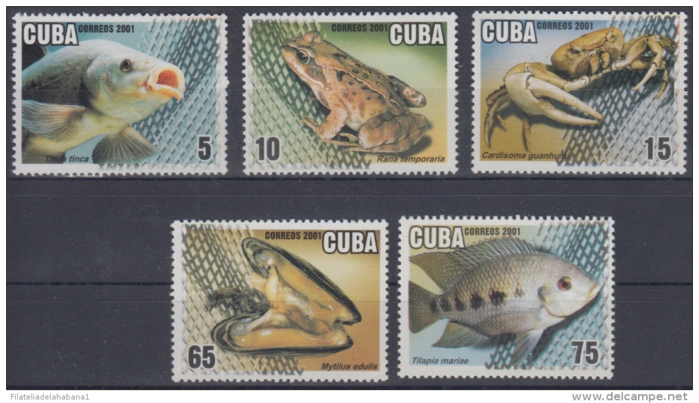 2001.30- * CUBA 2001. MNH. ACUICULTURA. TILAPIA. RANA. ALMEJAS. CANGREJOS. PECES. FISH. FROG. - Neufs