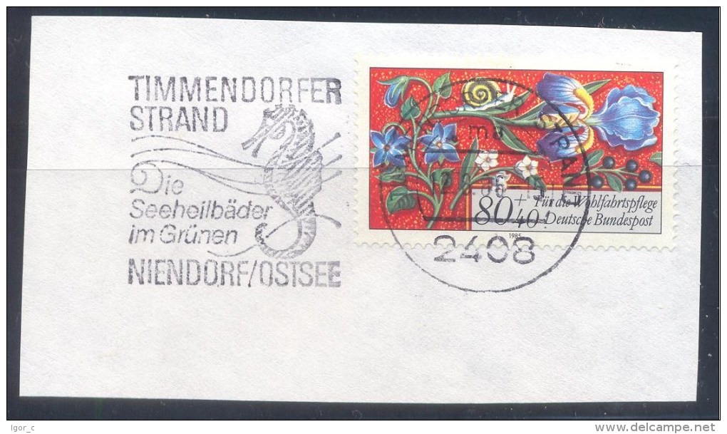 Germany Deutschland 1983 Slogan Cancellation Flamme Fauna Timmendorfer Strand Seeheilbäder Im Grünen Hippocampe Seehorse - Gorilles