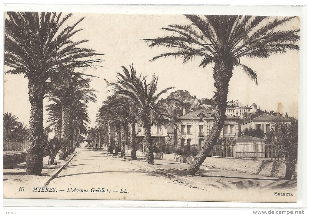 -19--HYERES--L AVENUE GODILLOT--ECRITE AU VERSO EN 1915-- - Hyeres