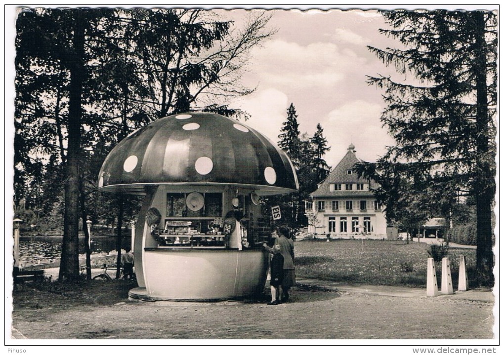 D4996     LINDENBERG I. ALGAU : Waldseehotel ( Pilzenladen- Paddestoelwinkel-Mushroomshop) - Lindenberg I. Allg.