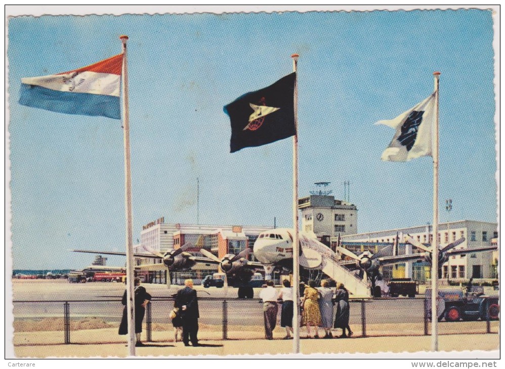 ALLEMAGNE DEUTSCHLAND,L´aéroport De Frankfurt,flughafen,avec Drapeaux,en 1950,rare - Darmstadt