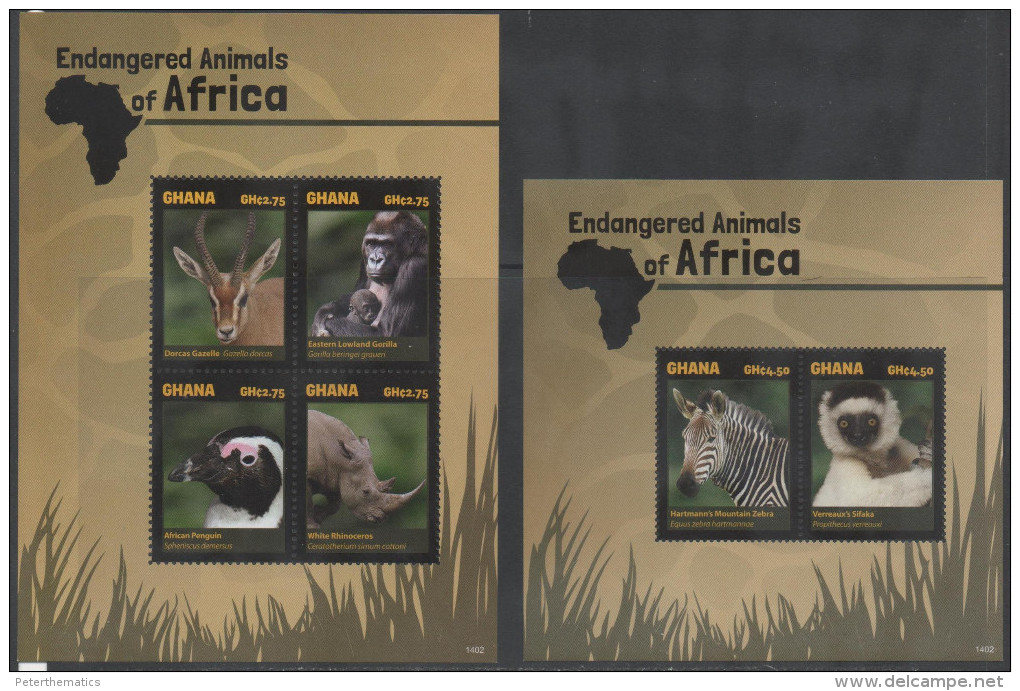 GHANA, 2014, MNH , ENDANGERED ANIMALS OF AFRICA,PENGUINS, GORILLAS, RHINOS, ZEBRAS, GAZELLES, LEMUR,  SHEETLET +S/SHEET - Gorilles
