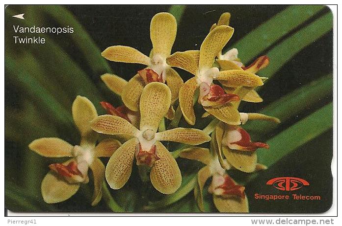 CARTE-MAGNETIQUE-SINGAPOUR-10$--ORCHIDEES JAUNES-BE - Fleurs