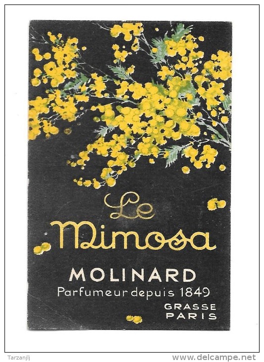 Carte Parfumée "Le Mimosa" Molinard Grasse France - Parfumreclame (tijdschriften)