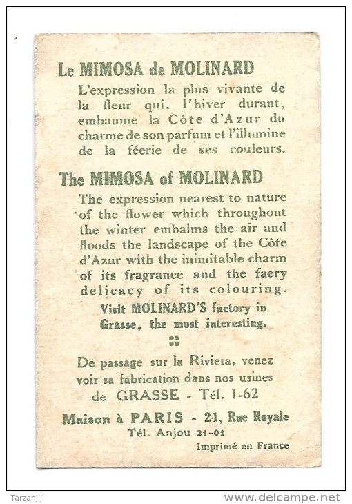 Carte Parfumée "Le Mimosa" Molinard Grasse France - Publicités Parfum (journaux)