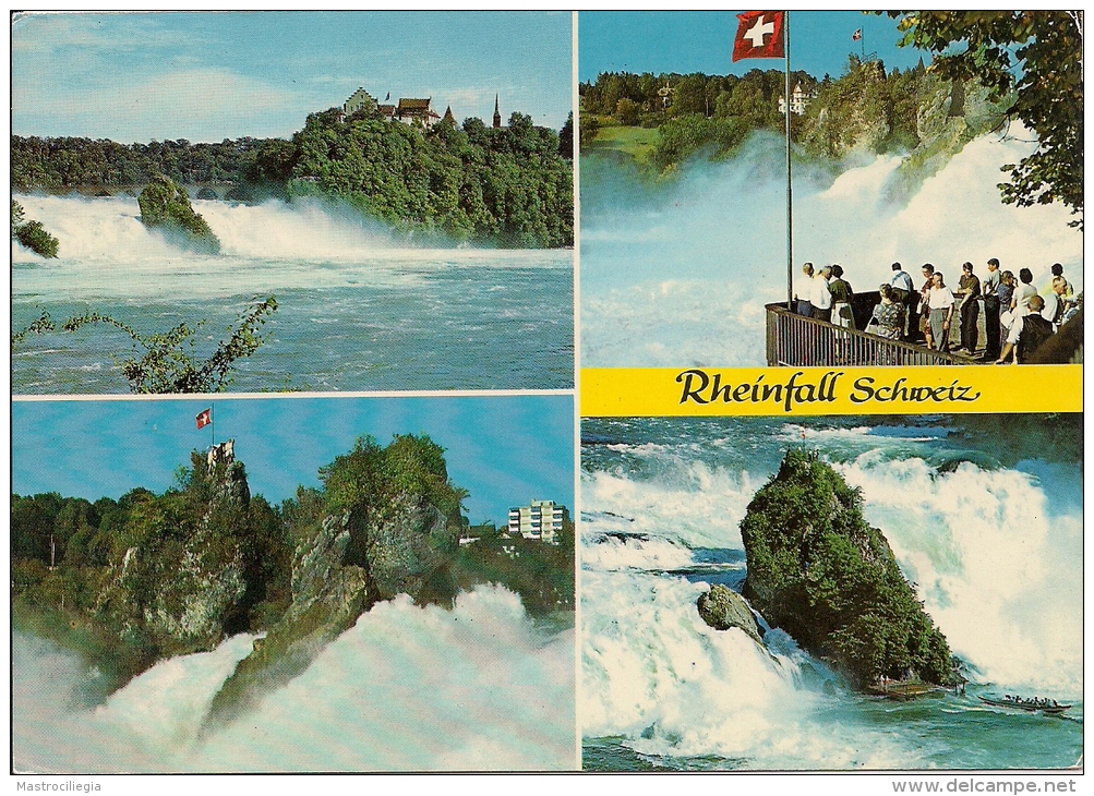 RHEINFALL  SH  Fg - Other & Unclassified