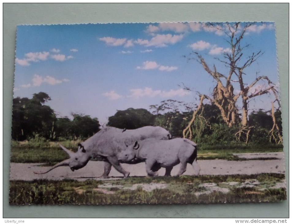 East African Game ( Rhinoceros ) / Anno 19?? ( Zie Foto Details ) !! - Rhinozeros