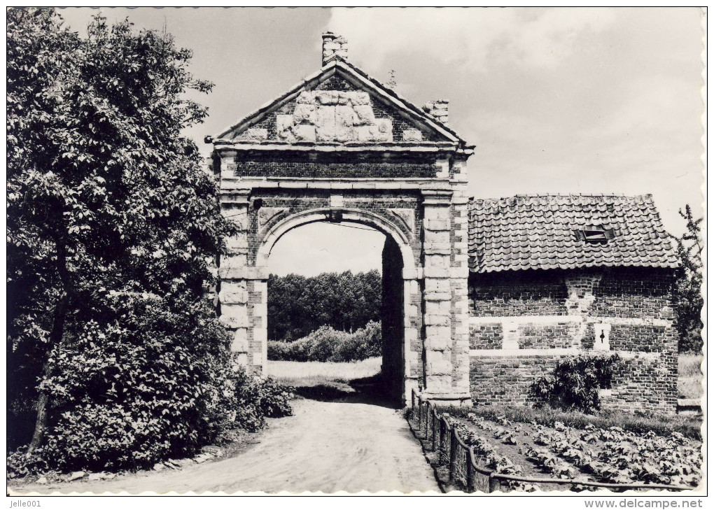 Holsbeek Ruine Kasteel Attenhoven - Holsbeek