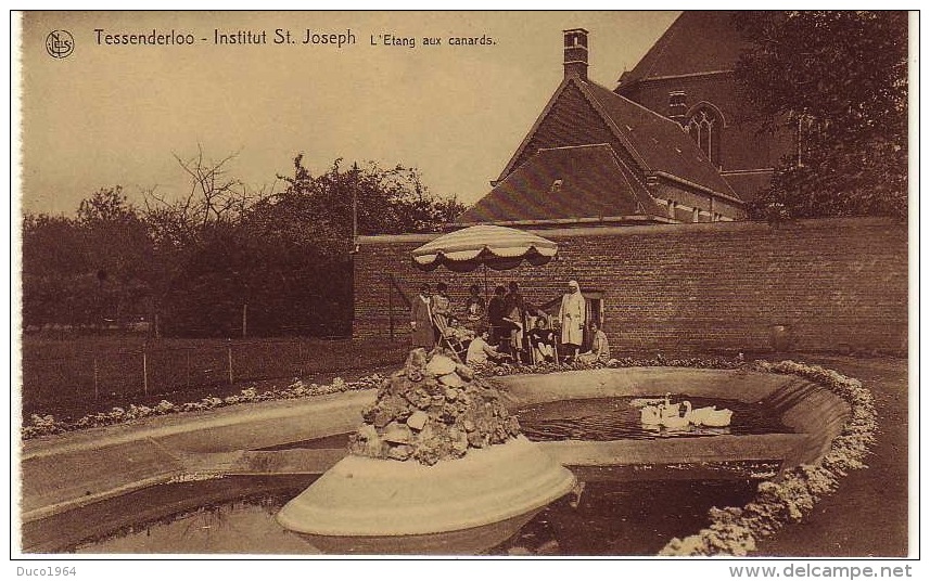 Tessenderlo(o) Institut St. Joseph – L'étang Aux Canards - Tessenderlo