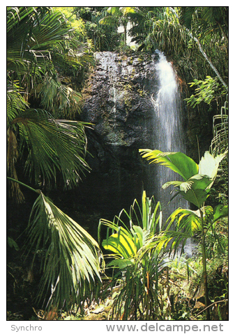 Praslin ; Vallée De Maie - Seychellen