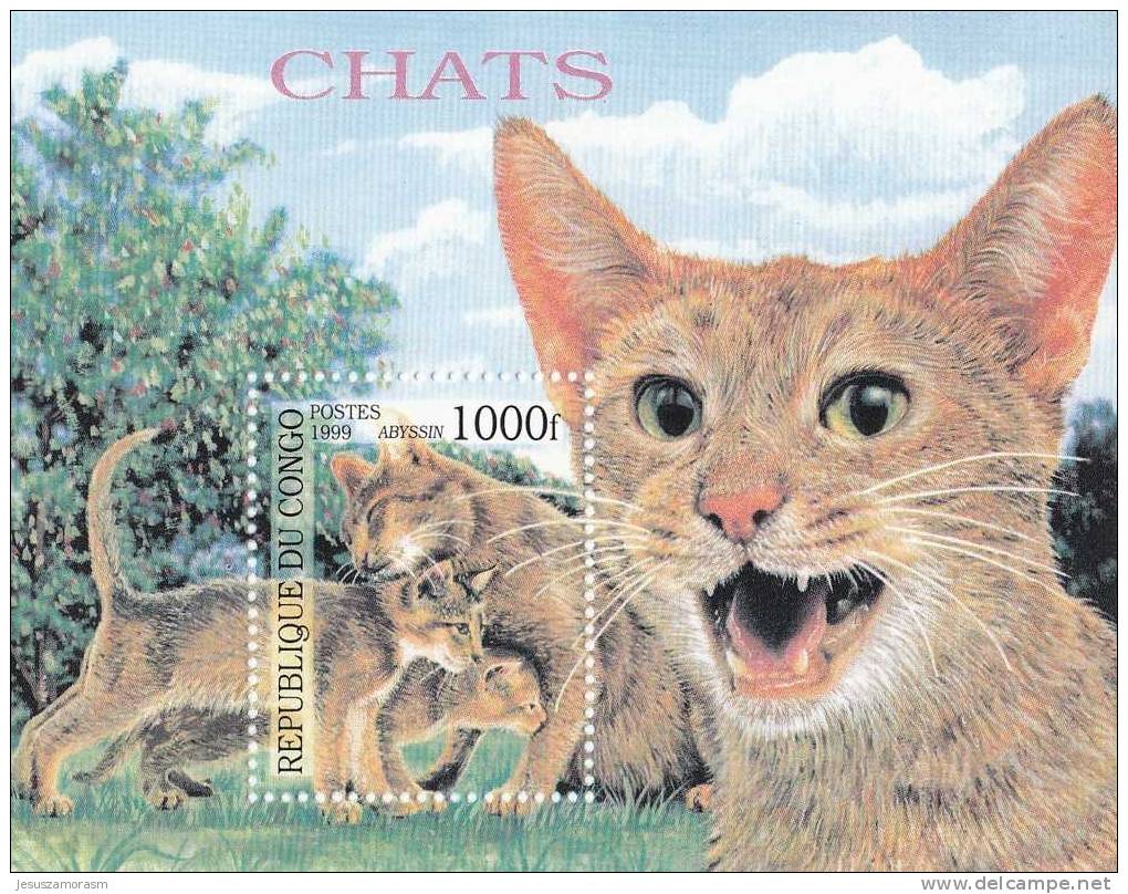 Congo Hb Gatos - Neufs