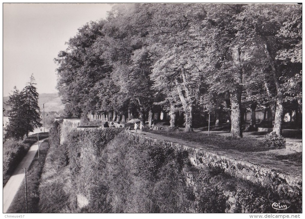 Cpsm-Semur En Auxoix- Les Remparts - Semur