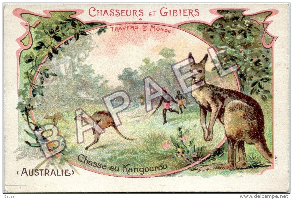 Image - Chasseurs Et Gibiers à Travers Le Monde - Chasse Au Kangourou - Australie (Recto-Verso) - Autres & Non Classés