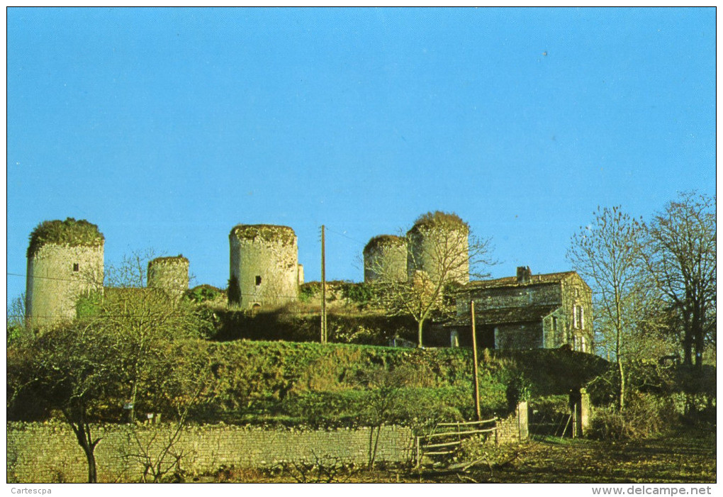 Echiré Les Ruines Du Chateau Coudray Salbart CPM Ou CPSM - Autres & Non Classés