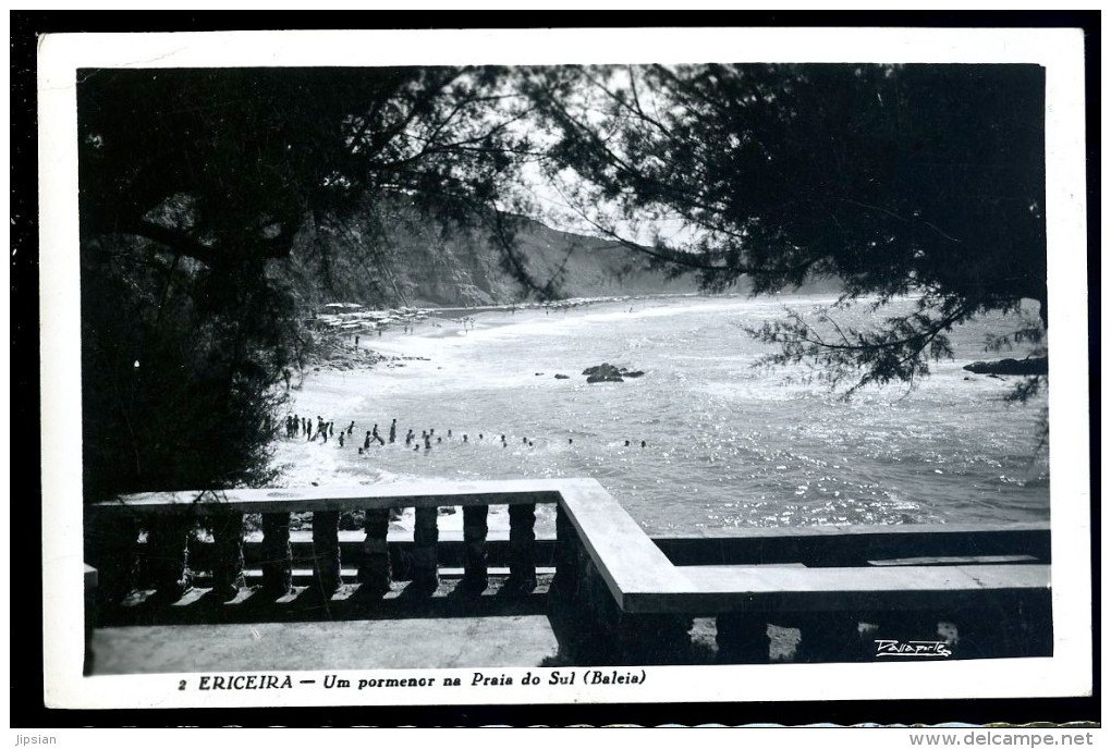 Cpsm Du Portugal Ericeira Um Pormenor Na Praia Do Sul - Baleia   JA15 8 - Autres & Non Classés