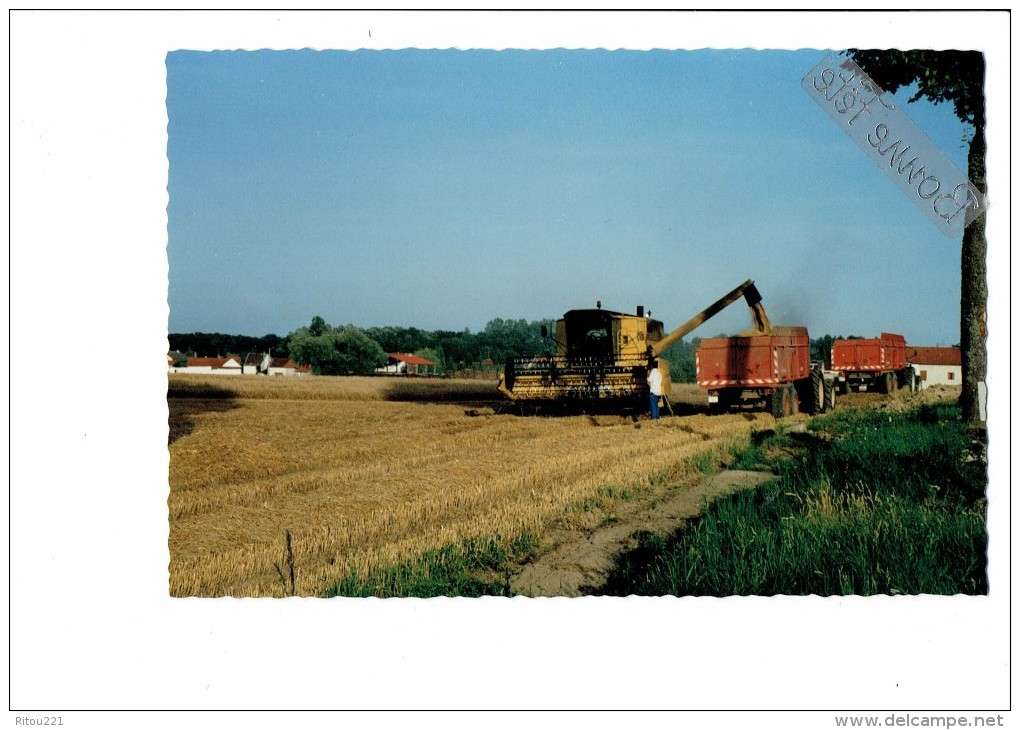 21 - NEUILLY LES DIJON - Côte D´Or - Battage Des Céréales - Départementale 905 - Tracteur Matériel Agricole Moissonneuse - Sonstige & Ohne Zuordnung