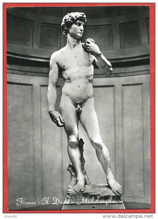 CARTOLINA NV ITALIA - FIRENZE - Il David - Michelangelo - 10 X 15 - Sculture