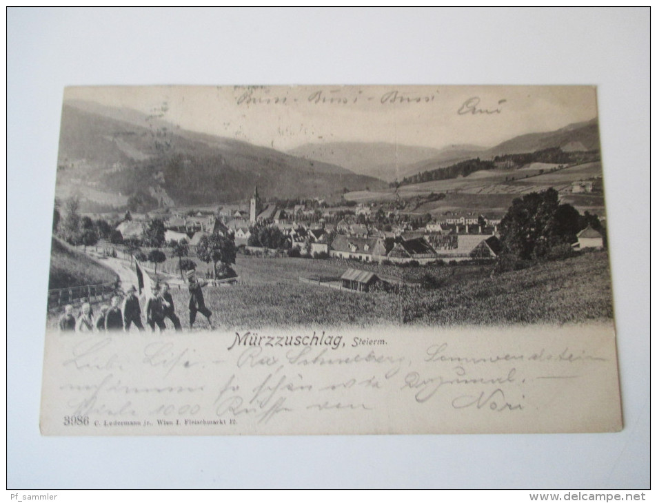 AK 1902 Mürzzuschlag, Steierm. Nr. 3986 C. Ledermann Jr. Wien. Jugend Mit Fahne. Strichstempel - Mürzzuschlag