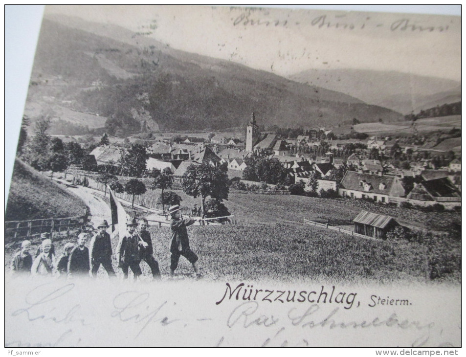 AK 1902 Mürzzuschlag, Steierm. Nr. 3986 C. Ledermann Jr. Wien. Jugend Mit Fahne. Strichstempel - Mürzzuschlag