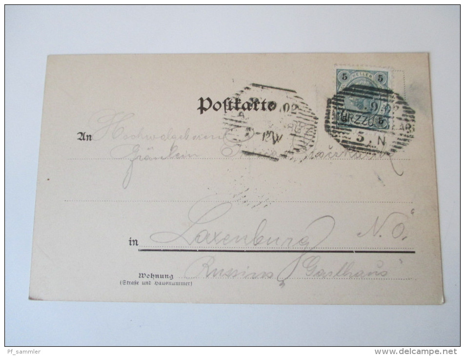 AK 1902 Mürzzuschlag, Steierm. Nr. 3986 C. Ledermann Jr. Wien. Jugend Mit Fahne. Strichstempel - Mürzzuschlag