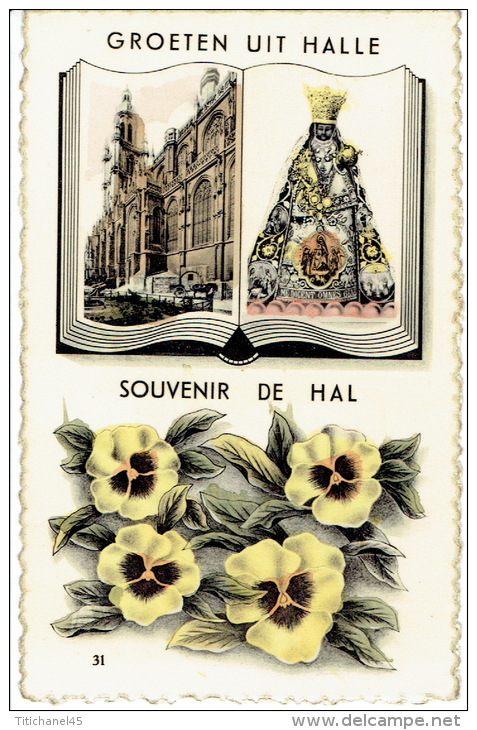 GROETEN UIT HALLE - SOUVENIR DE HAL - Halle