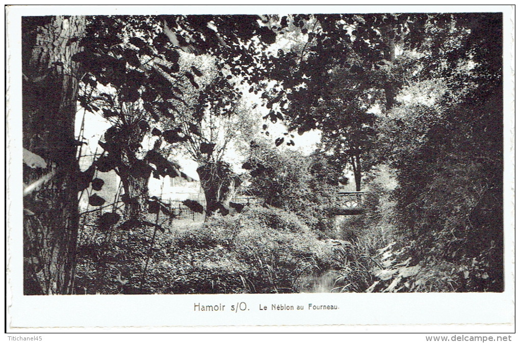 HAMOIR -SUR-OURTHE - Le Néblon Au Fourneau - Hamoir