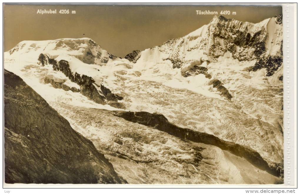 SAAS-FEE - Langefluh M. Feegletscher, Alphubel U. Täschhorn V. Plattjen  Glacier, Gletscher,  Alpin Alpine - Täsch