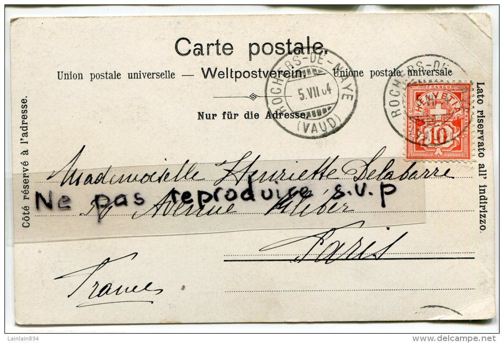 - 2662 - Rochers De Naye, Hôtel, Splendide, écrite En 1904, Précurseur, Cachet, Vue Sur Les Diablerets,   Scans. - Roche