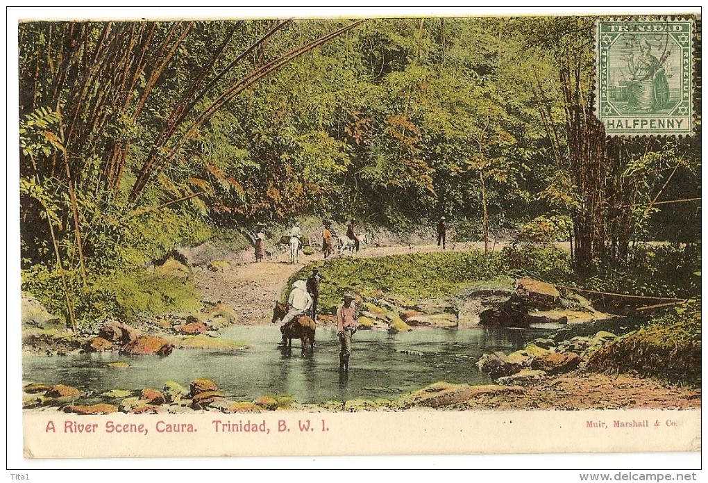 S2107 - A River Scene, Caura. Trinidad, B.W.I. - Trinidad