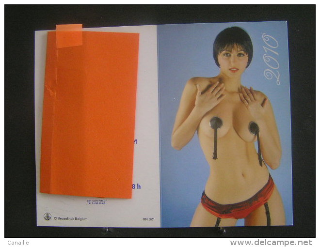 Calender Calandrier Calendario - 2010 -  Femme Denude ( Pin-up / Starlette ) - Petit Format : 1991-00