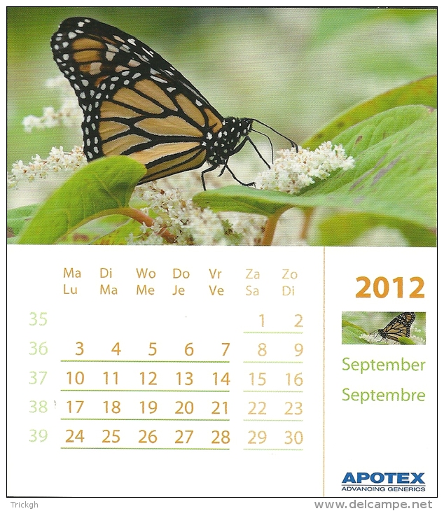 2012 Calendrier Page Kalender Blz Calendar Page / 11.7 X 13.3 Cm Carton Glacé / Papillon Vlinder Butterfly - Small : 2001-...