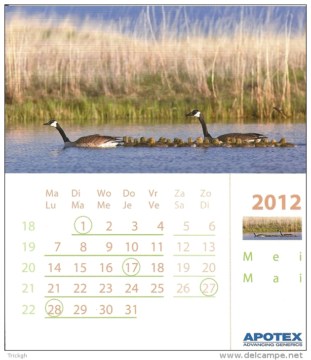 2012 Calendrier Page Kalender Blz Calendar Page / 11.7 X 13.3 Cm Carton Glacé / Oie Canada Gans Goose - Formato Piccolo : 2001-...