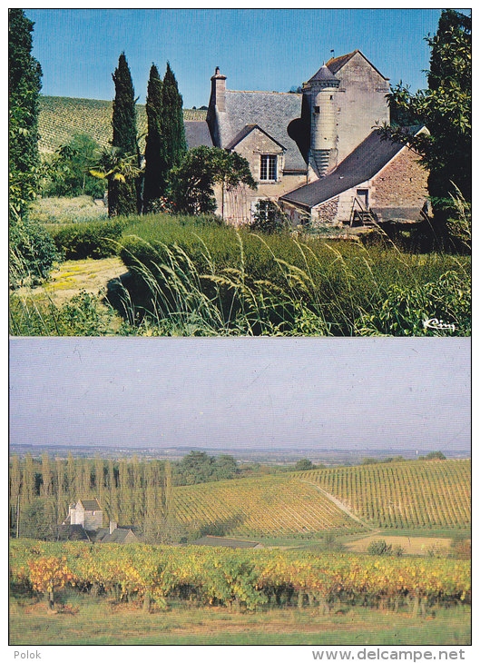 2 CPM BLAISON  - Château De Cheman - Other & Unclassified