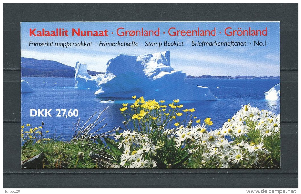 GROENLAND 1989 Carnet  N° C177 ** Complet Neuf  = MNH Superbe  Cote 100 € Reine Margrethe II Carte - Booklets