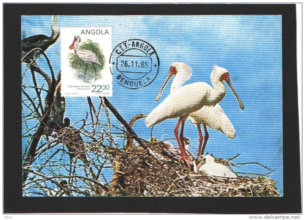 Carte Maximum - Oiseaux - Angola - Spatule D'Afrique - 1985 - Storks & Long-legged Wading Birds