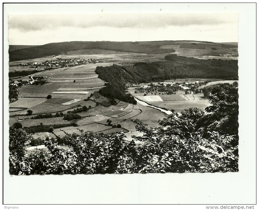 Marcourt  Panorama De La Vallée De L'Ourthe - Rendeux