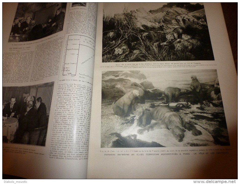 1928 Les chiens chauffants de couteliers à Thiers;La Rochelle;NORVEGE;Bain de bébé à -5° à Vienne;Antilles(Huahine),etc