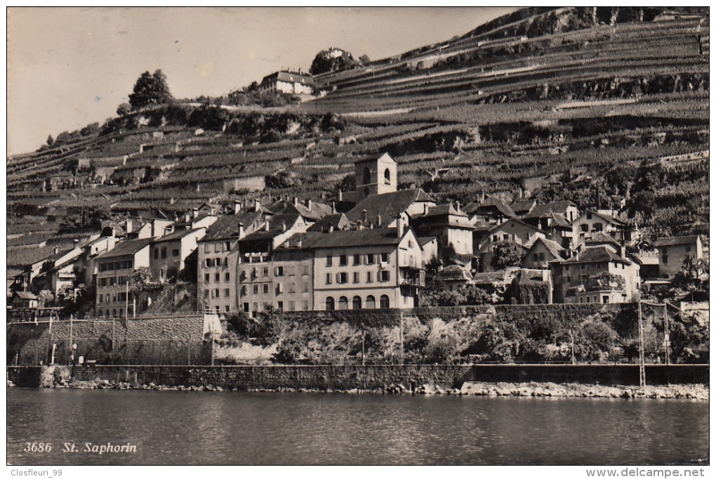 Saint-Saphorin, N° 3686 / Années 50. Non écrite. Sans Les Nouvelles Constructions ! - Saint-Saphorin