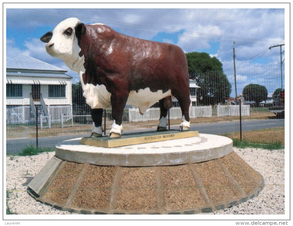 (322) Australia - QLD - Rockhampton Bradford Cow Statue - Rockhampton