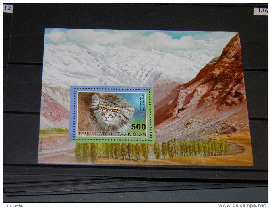 Tajikistan - 1996 Small Cats Block MNH__(TH-13660) - Tadschikistan