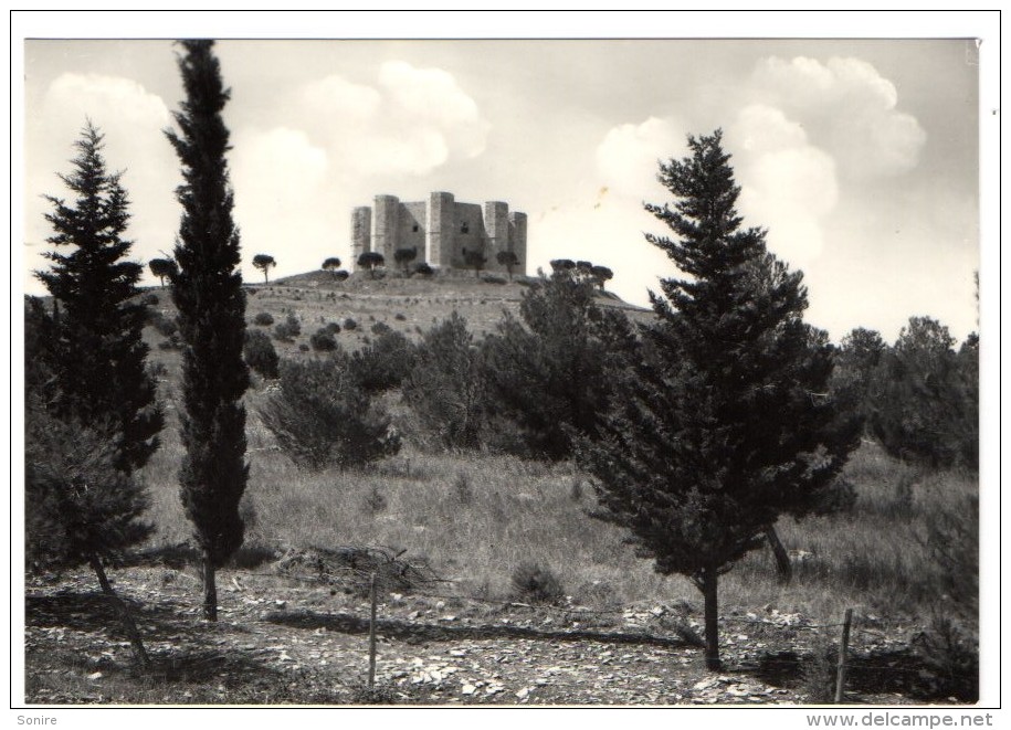 ANDRIA - CASTEL DEL MONTE - C531 - Andria