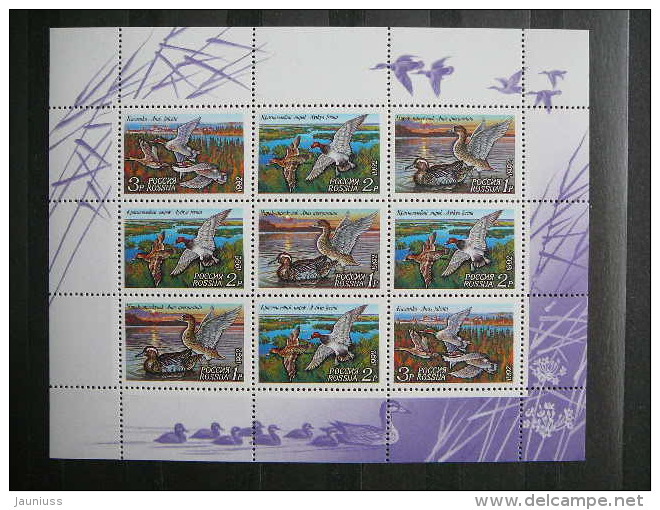 Russia 1992 MNH # Mi.254/6 Ducks.Birds. Klb. - Usados