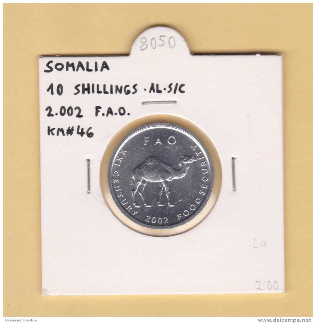 SOMALIA  10 SCHILLING  2.002   CAMELLO FAO AL  KM#46   SC/UNC   T-DL-8050 - Somalia