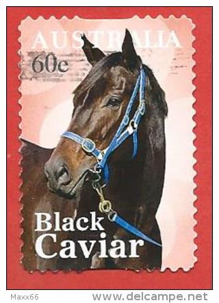 AUSTRALIA USATO - 2013 - Black Caviar - 60 Cent - Michel AU 3948  AUTOADESIVO - Usati